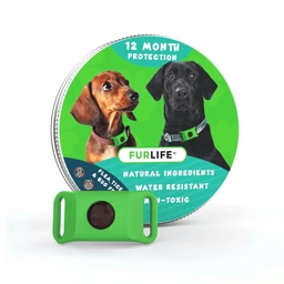#2 — FurLife’s Pendant