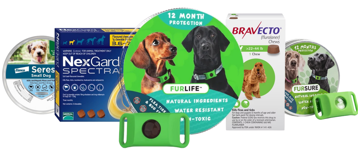 The Top 5 Flea & Tick Treatments of 2026 — And the One Dog Owners Can No Longer Live Without